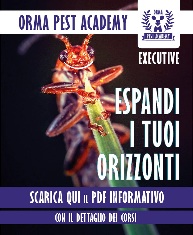 Scarica PDF informativo